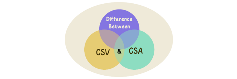 Difference Between CSV and CSA
