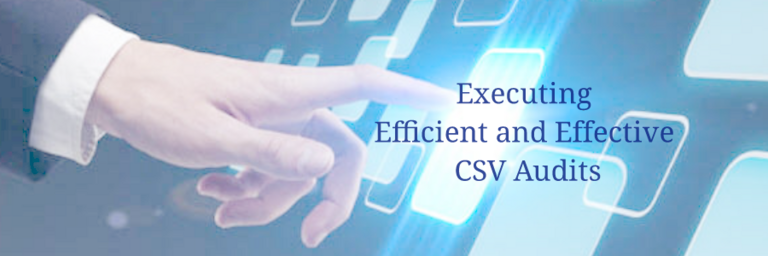 Executing Efficient and Effective CSV Audits